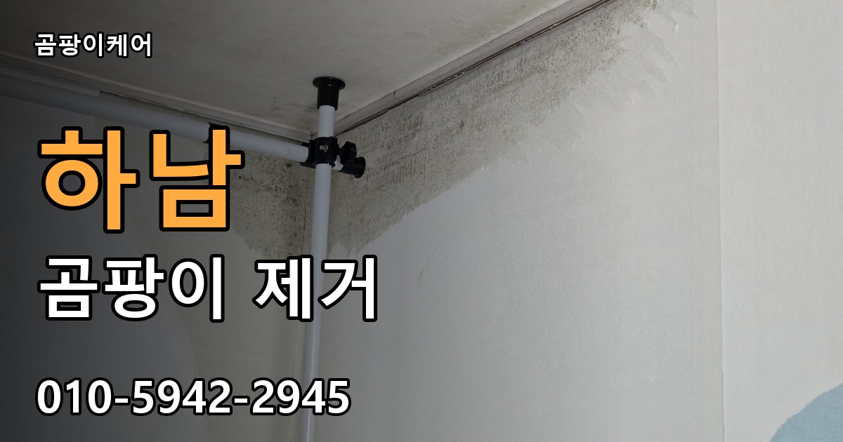 하남 곰팡이제거 — 곰팡이케어
