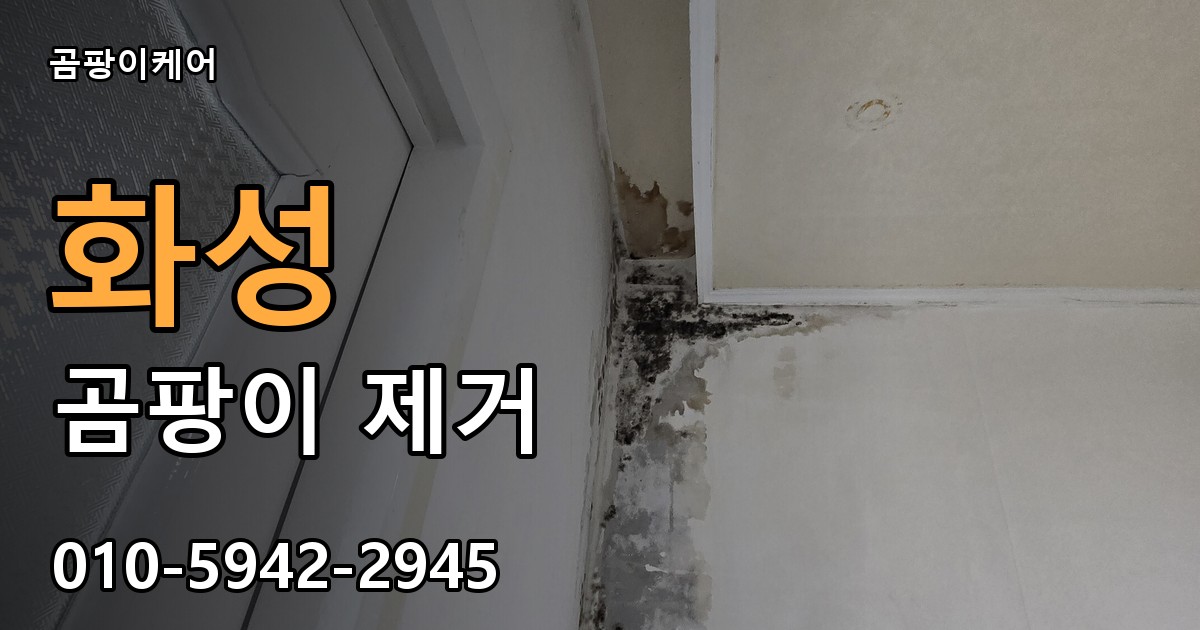 화성 곰팡이제거 — 곰팡이케어